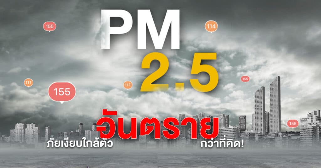 pm2.5_1.jpg