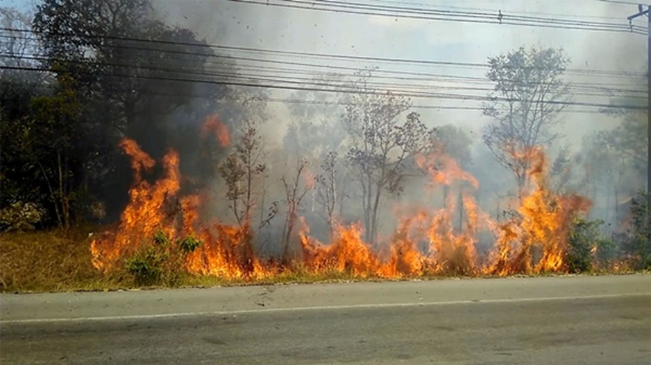 ไฟป่า1.jpg